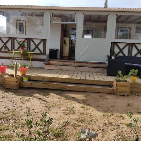 Oasis Village Puget-sur Argens Kültér fotó