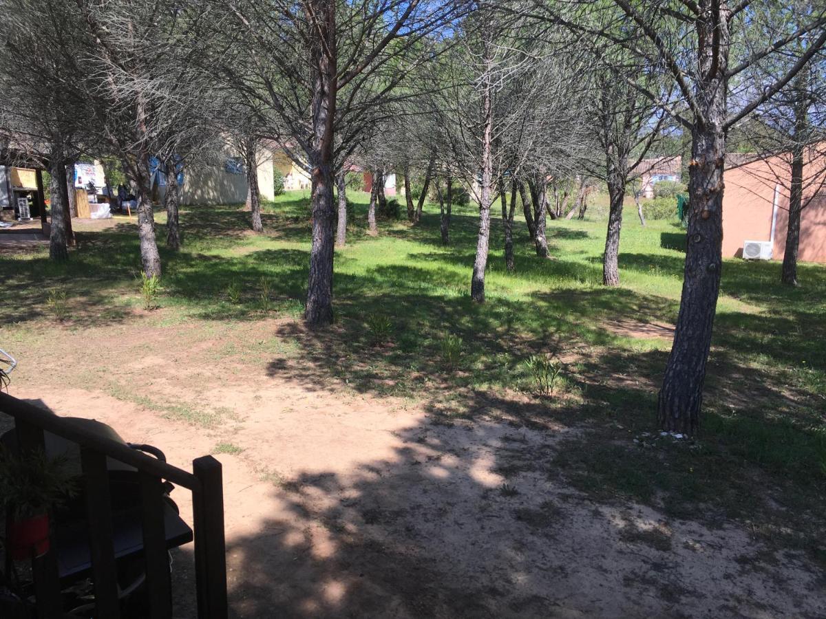 Oasis Village Puget-sur Argens Kültér fotó